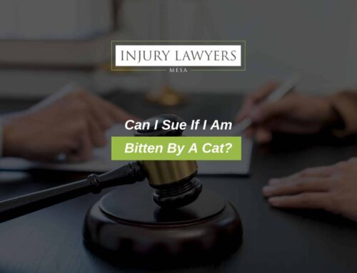 Can I Sue If I Am Bitten By A Cat?